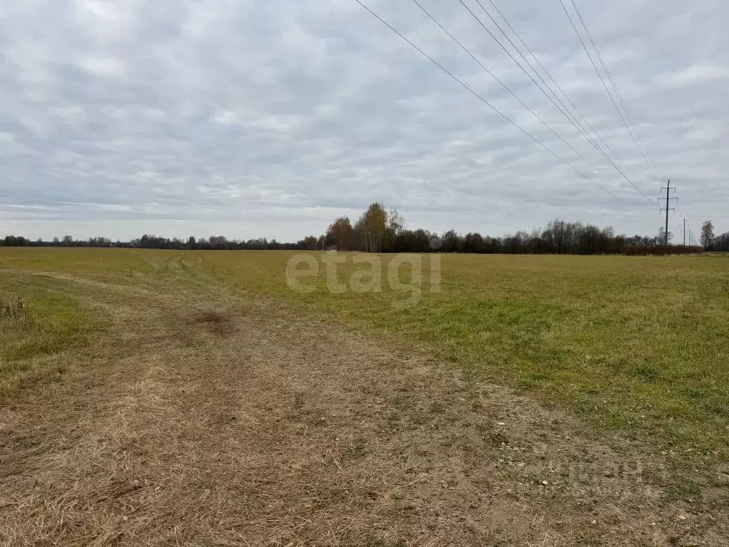 Участок в Костромская область, Красносельский район, Шолоховское ... - Фото 1