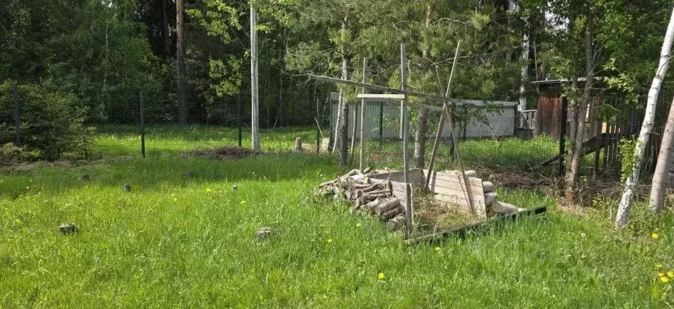 Участок в Московская область, Щелково городской округ, пос. Литвиново ... - Фото 2