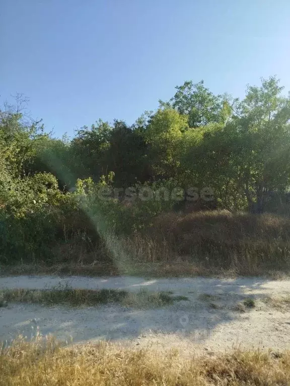 Участок в Севастополь пер. 1-й Планерный (6.29 сот.) - Фото 2