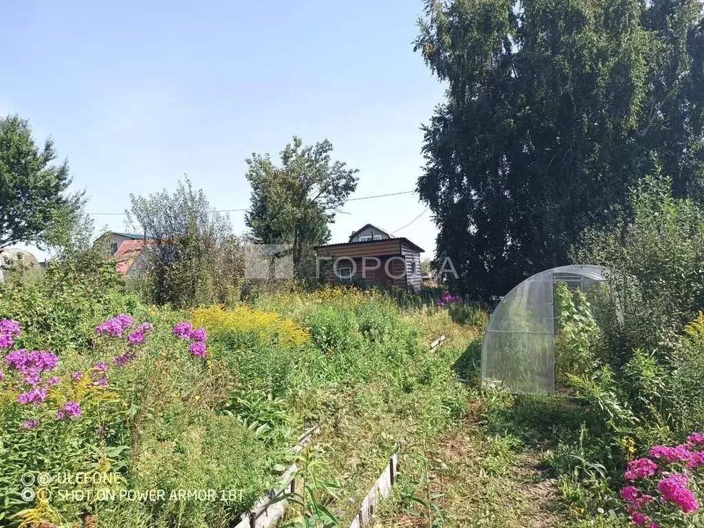 Участок в Кемеровская область, Новокузнецкий муниципальный округ, ... - Фото 1