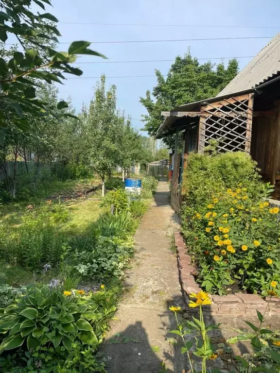Дом в Челябинская область, Челябинск Мичуринец СНТ, ул. 22-я, 937 (50 ... - Фото 1