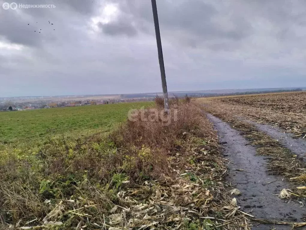 Участок в Лямбирский район, село Черемишево (10.4 м) - Фото 1