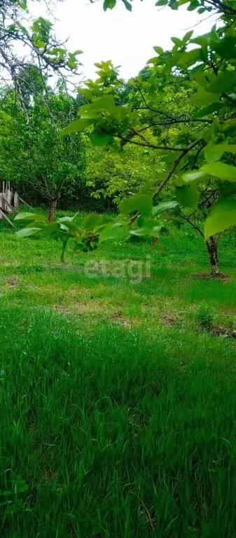 Участок в село Красная Воля, улица Володи Ульянова (10.5 м) - Фото 0