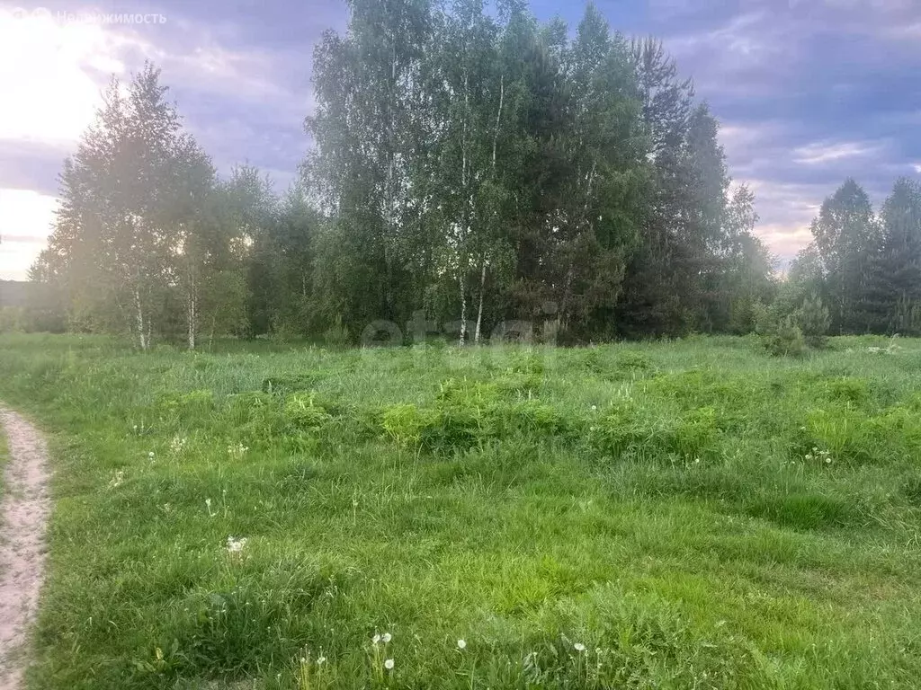 Участок в Владимирская область, городской округ Покров, деревня Вялово ... - Фото 2