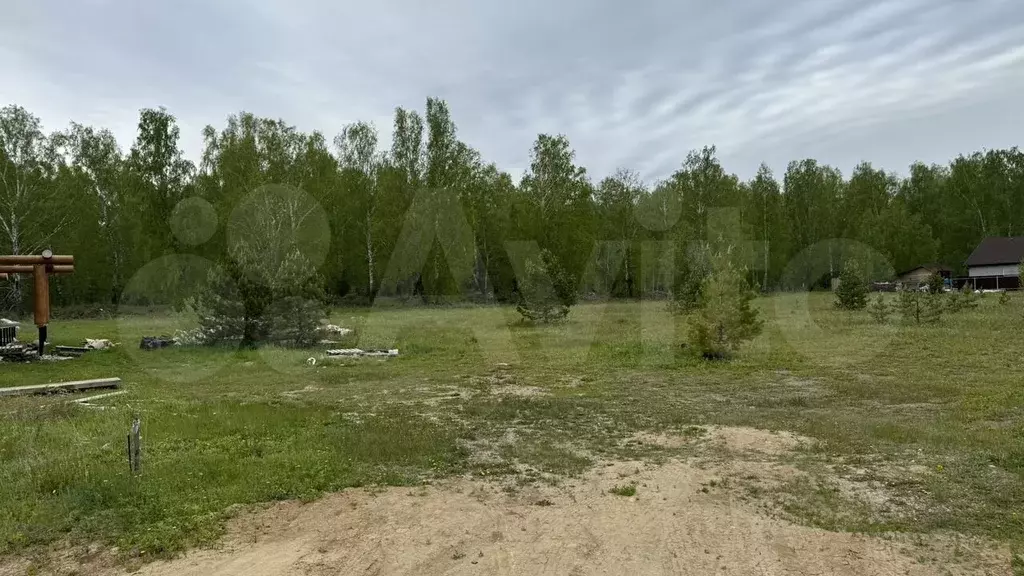 Участок 25 сот. (СНТ, ДНП) - Фото 0
