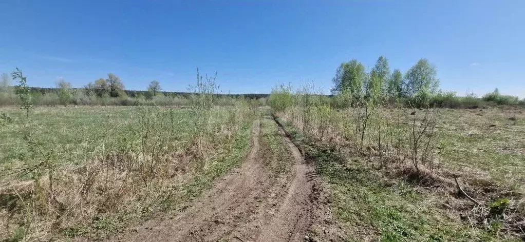 Участок в Новосибирская область, Новосибирский район, Кубовинский ... - Фото 2