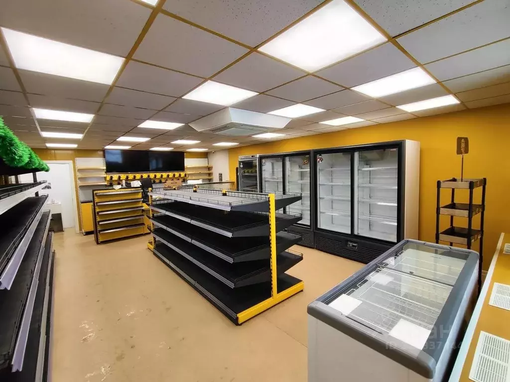 Помещение свободного назначения в Московская область, Павловский Посад ... - Фото 2