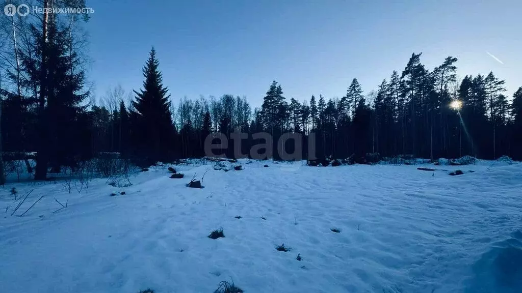 Участок в Ленинградская область, Всеволожское городское поселение, ДНП ... - Фото 2