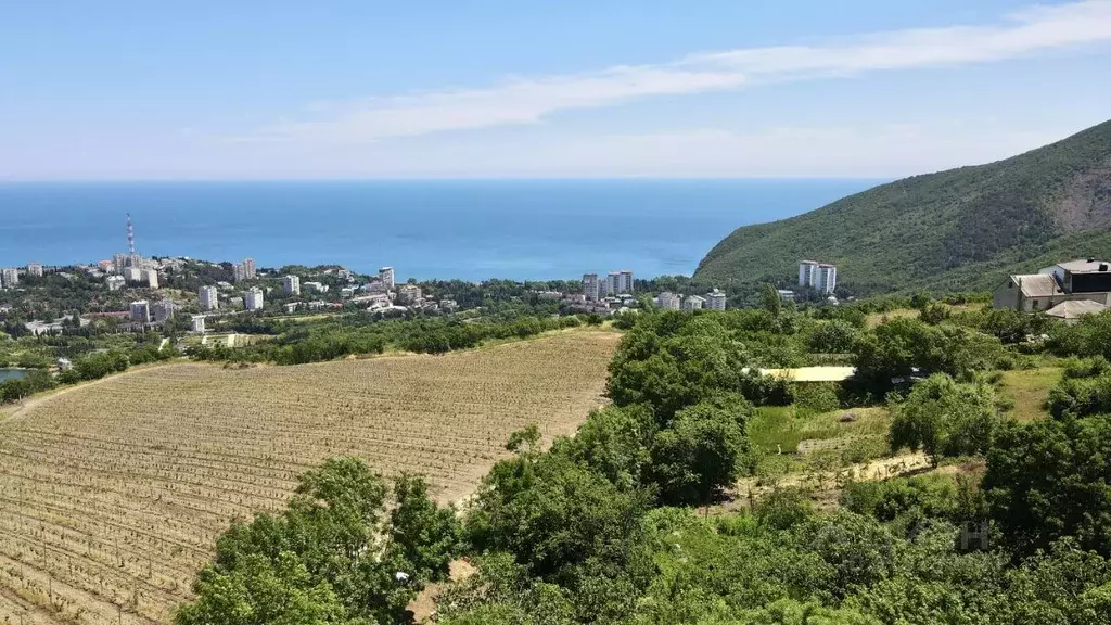 Участок в Крым, Алушта муниципальный округ, с. Лавровое ул. ... - Фото 0
