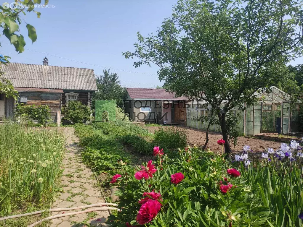 Дом в Завьяловский район, СДТ Отдых, 213 (40 м) - Фото 0