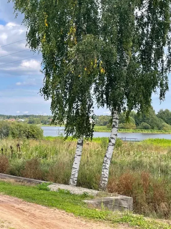 Участок в Тверская область, Конаковский муниципальный округ, СНТ ... - Фото 1