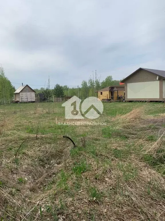 Участок в Новосибирская область, Искитимский район, Быстровский ... - Фото 1