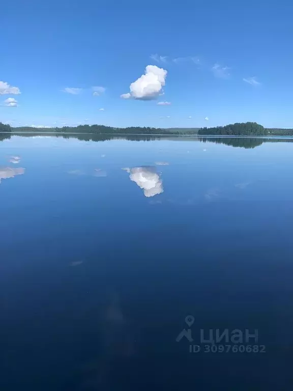 Участок в Карелия, Медвежьегорский район, Пиндушское городское ... - Фото 1