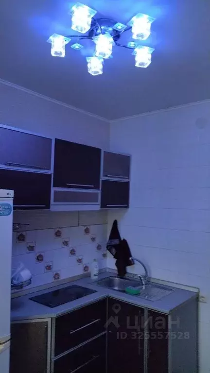 1-к кв. Алтайский край, Рубцовск просп. Ленина, 143 (34.4 м) - Фото 1