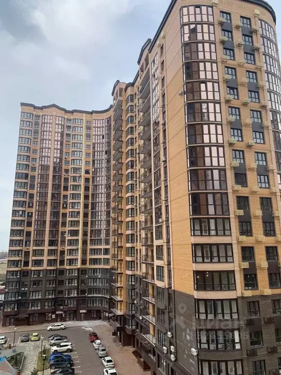 1-к кв. Краснодарский край, Краснодар ул. Григория Булгакова, 19к1 ... - Фото 2