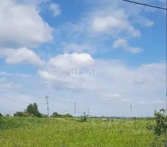 Участок в Новгородская область, Шимское городское поселение, д. Голино ... - Фото 0