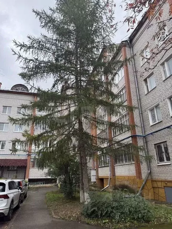 2-к кв. Пермский край, Краснокамск Большевистская ул., 54 (67.5 м) - Фото 1