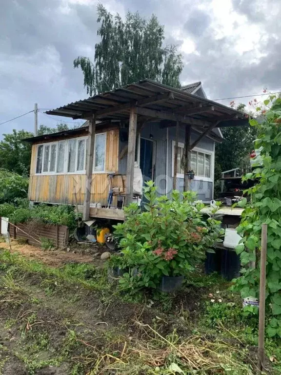 Участок в Томская область, Томск пл. Ленина (6.0 сот.) - Фото 2