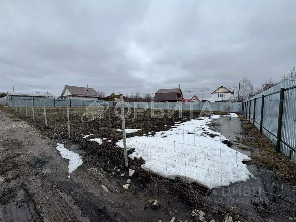 Участок в Тюменская область, Тюмень СОСН Янтарь тер., ул. Лесная (6.6 ... - Фото 2