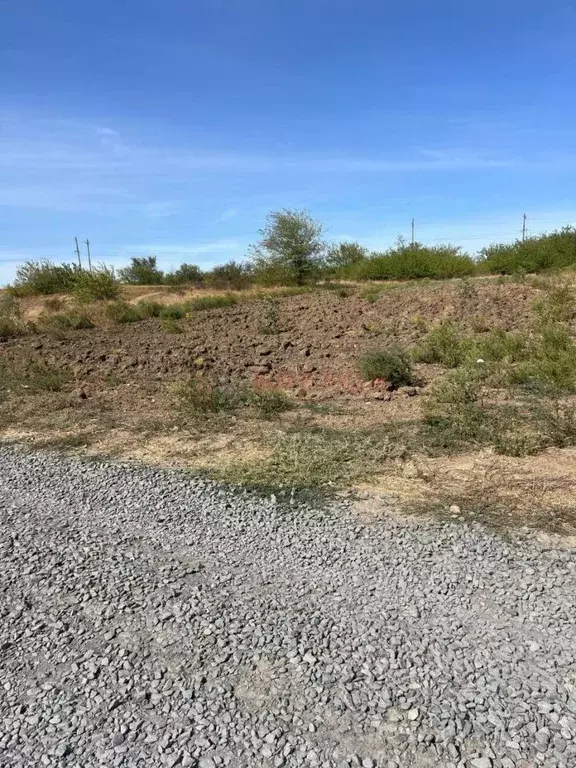Участок в Ростовская область, Азовский район, Самарское с/пос, ... - Фото 2
