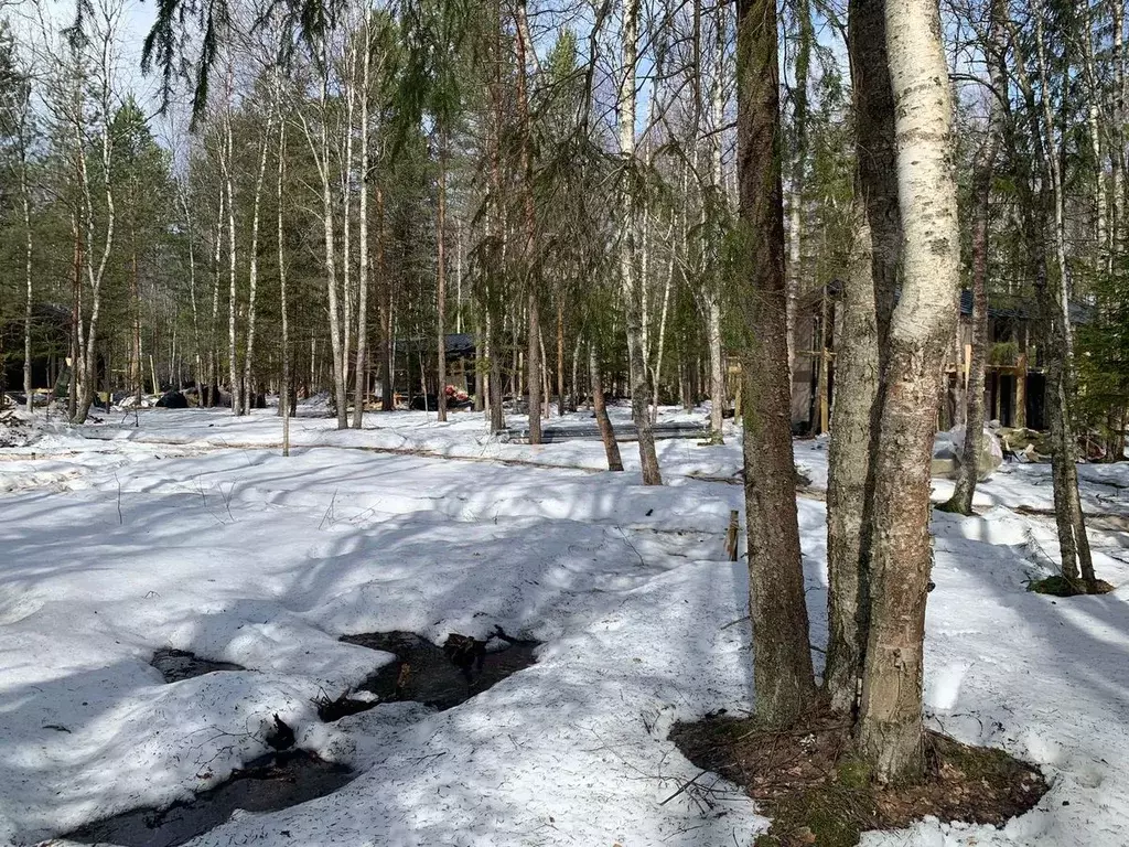 Участок в Московская область, Истра городской округ, д. Ульево  (6.0 ... - Фото 1