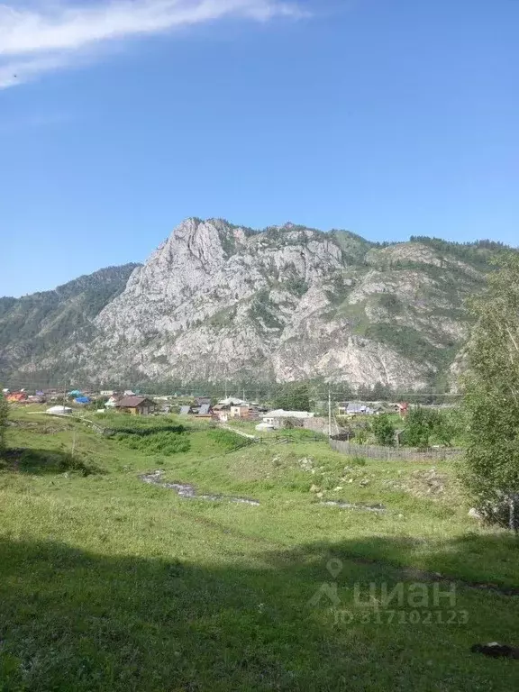 Участок в Алтай, Чемальский район, с. Еланда  (7.97 сот.) - Фото 0