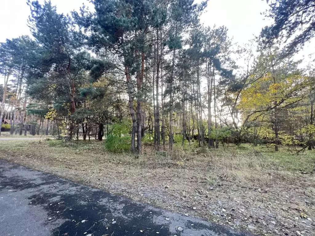 Участок в Белгородская область, Белгородский район, Поселок Разумное ... - Фото 2