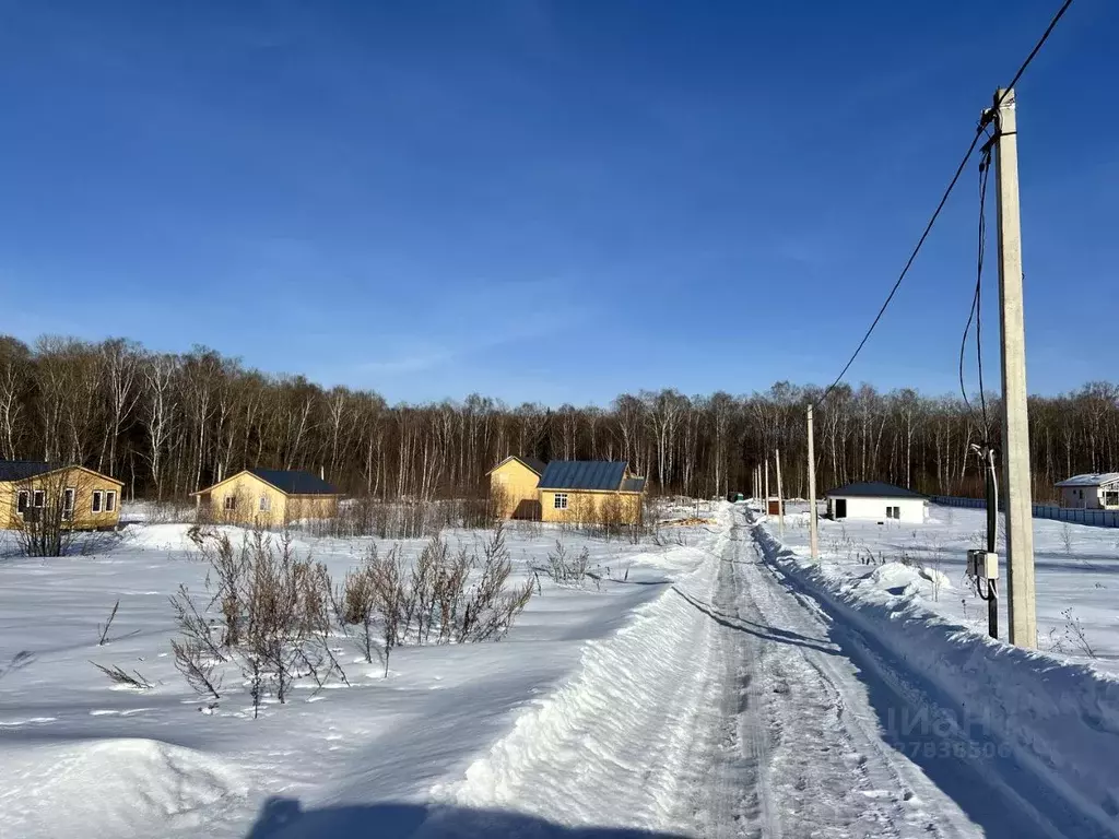 Участок в Московская область, Дмитровский муниципальный округ, с. ... - Фото 2