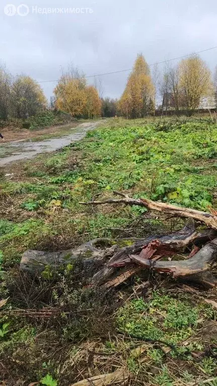 Участок в Тверская область, Конаковский муниципальный округ, деревня ... - Фото 2