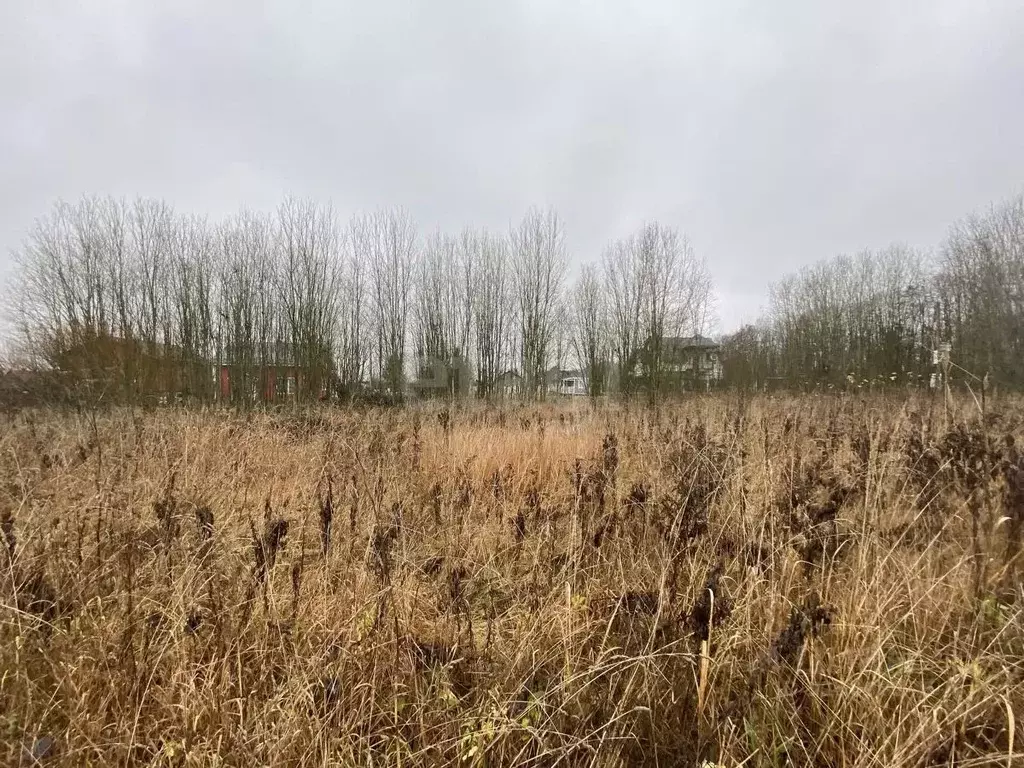 Участок в Ленинградская область, Ломоносовский район, Оржицкое с/пос, ... - Фото 1