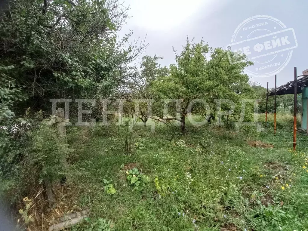 Участок в Ростовская область, Мясниковский район, Большесальское ... - Фото 0