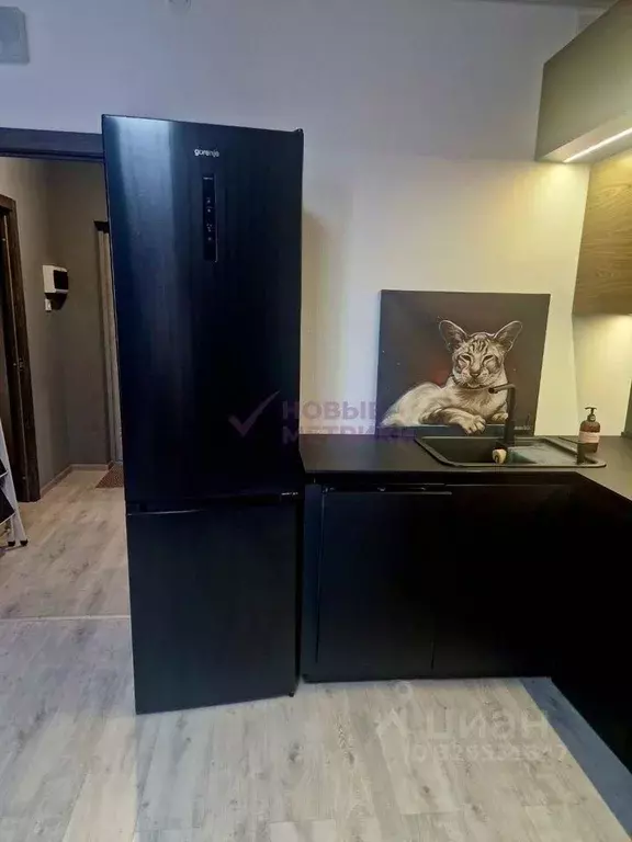 Студия Санкт-Петербург ул. Одоевского, 17 (42.0 м) - Фото 1