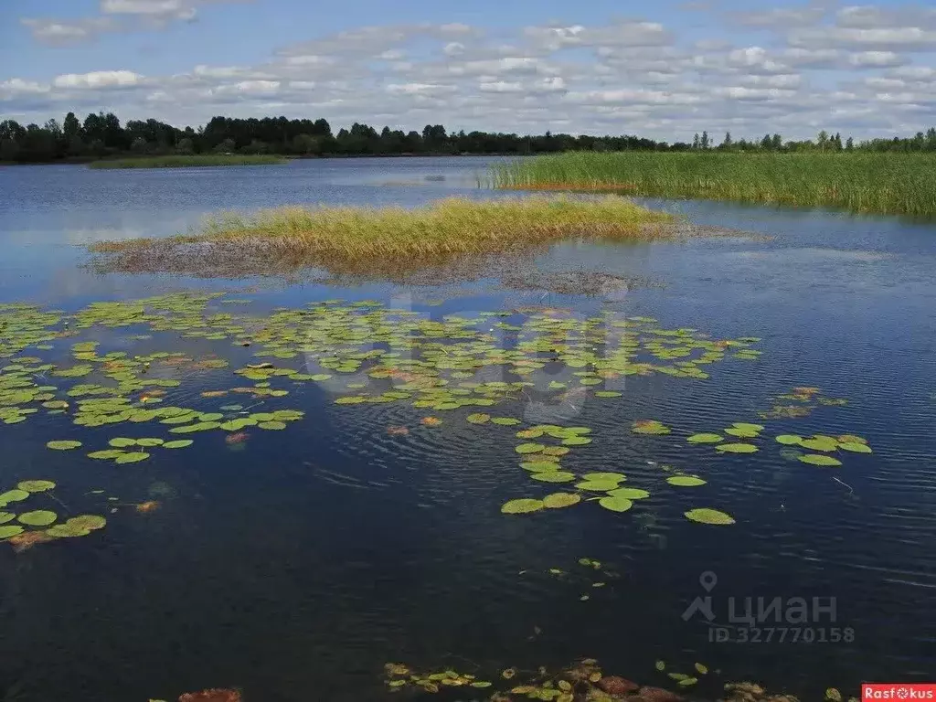 Участок в Самарская область, Самара пос. 113 километр, ул. Собинская, ... - Фото 1