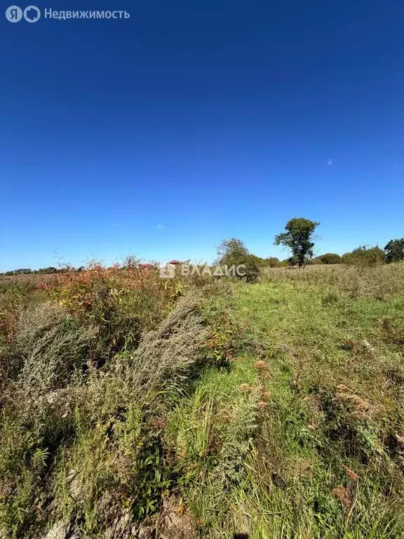 Участок в село Воздвиженка, Тихая улица, 37 (20 м) - Фото 2
