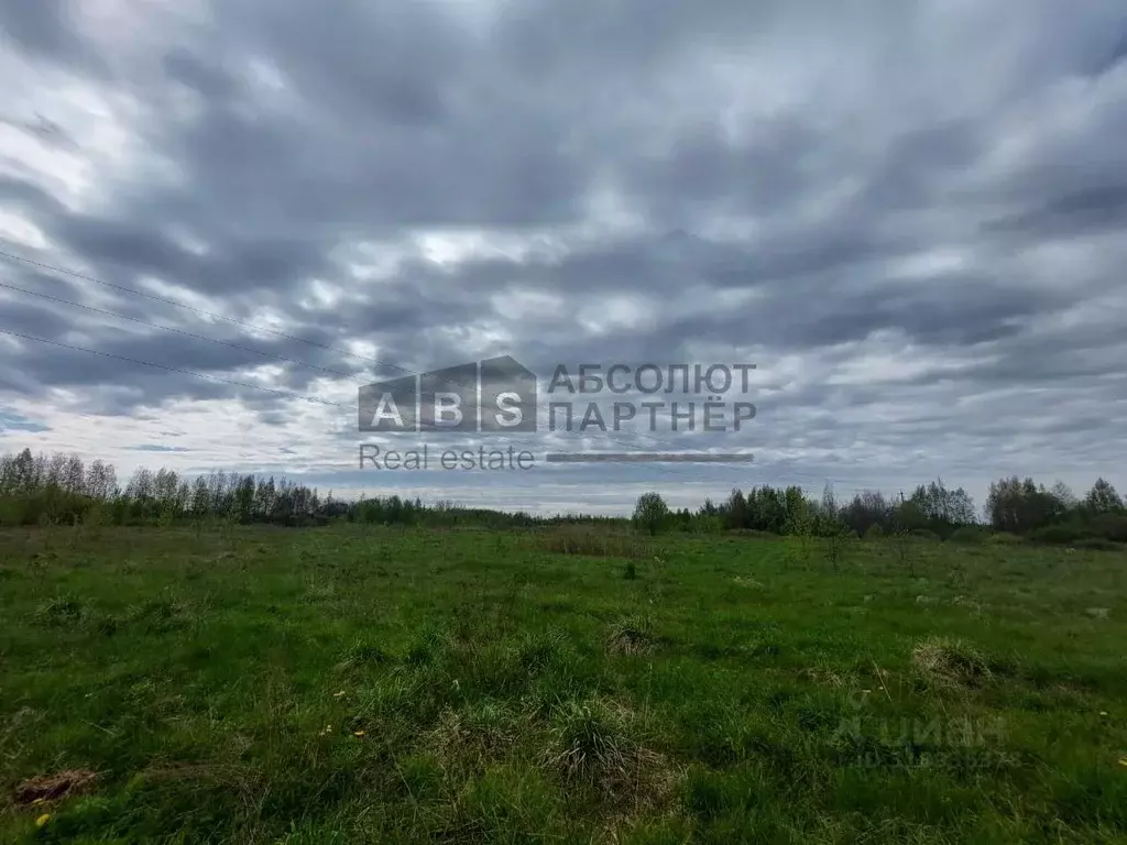 Участок в Новгородская область, Новгородский район, Ракомское с/пос, ... - Фото 1