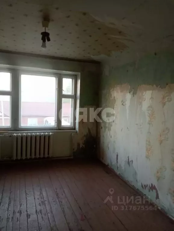 Комната Орловская область, Орел ул. Садовского, 1 (12.0 м) - Фото 0