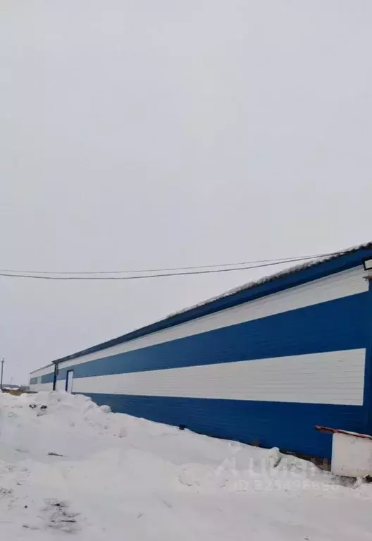 Производственное помещение в Новосибирская область, Татарск ... - Фото 2