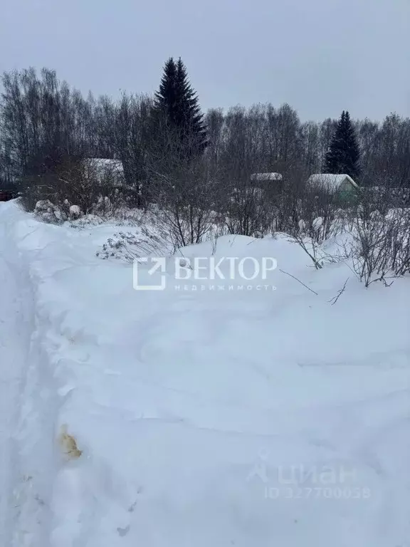 Участок в Костромская область, Кострома Дубки садоводческое ... - Фото 2