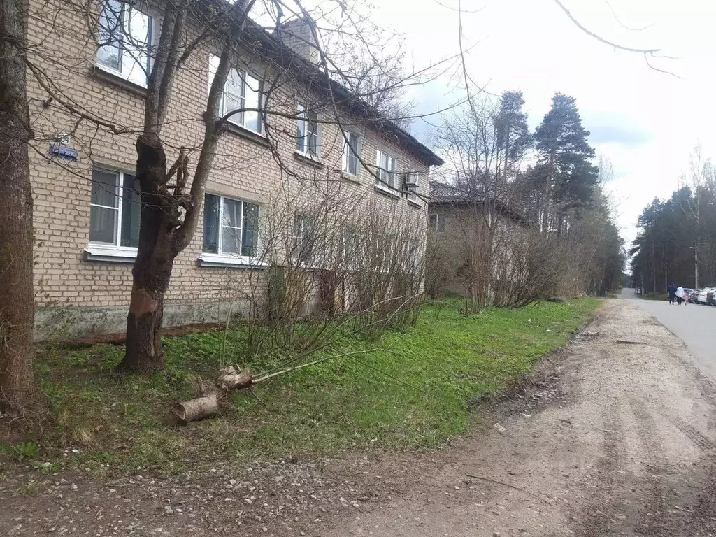 2-к кв. Ленинградская область, Луга Средняя Заречная ул., 94 (38.0 м) - Фото 1
