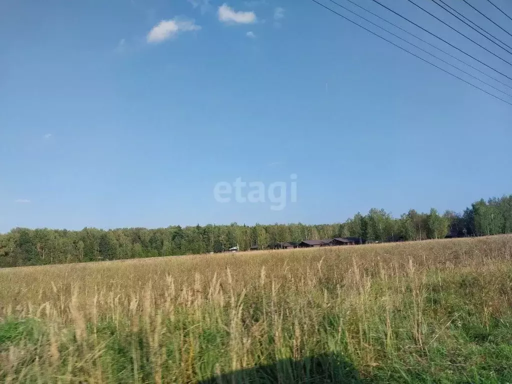 Участок в Калужская область, Совхоз Боровский с/пос, д. Комлево ул. ... - Фото 2