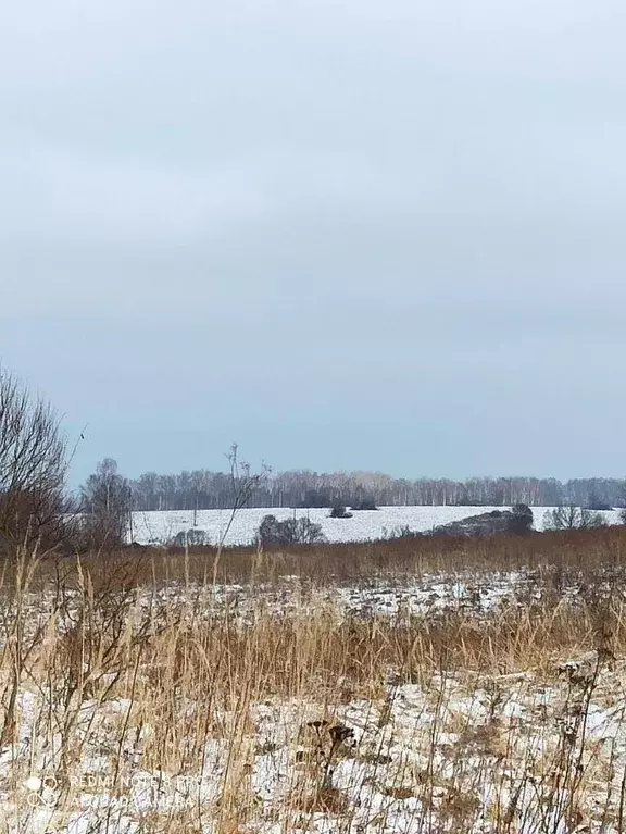 Участок, 400 сот., 0 - Фото 1