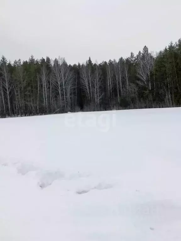 Участок в Свердловская область, Ревда городской округ, пос. Ледянка  ... - Фото 0