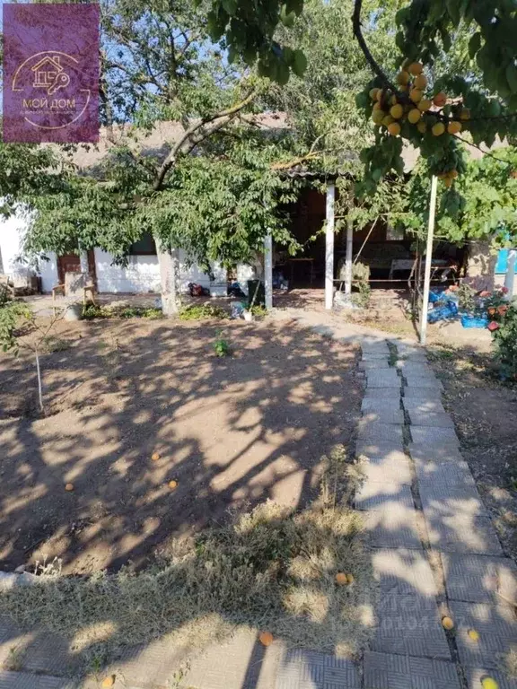 Дом в Крым, Сакский район, с. Ромашкино ул. Шевченко, 2 (60 м) - Фото 1