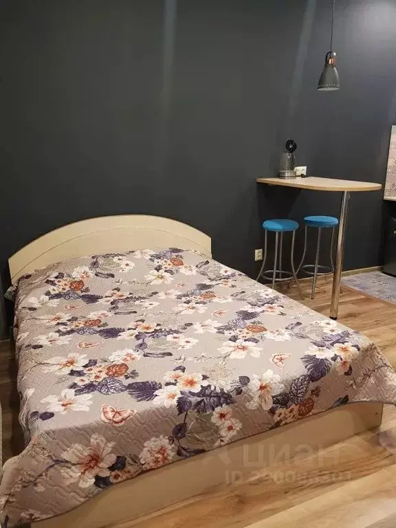 Студия Ленинградская область, Выборг просп. Ленина, 8 (25.0 м) - Фото 2