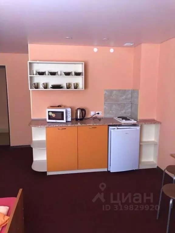 1-к кв. Челябинская область, Чебаркуль Санаторий Сосновая Горка тер., ... - Фото 1