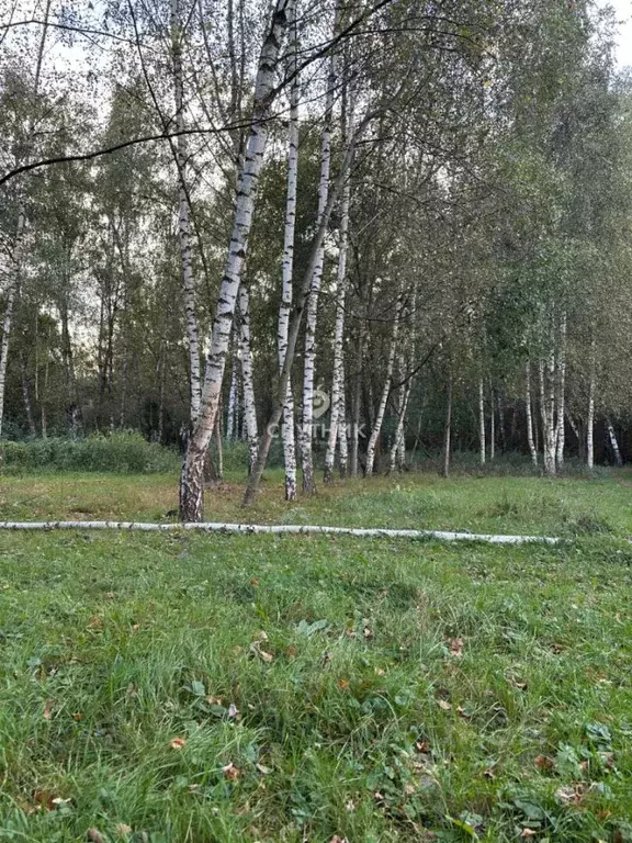 Участок в Московская область, Богородский городской округ, д. ... - Фото 1