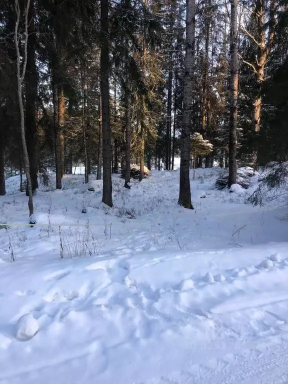 Участок в Карелия, Сортавальский муниципальный округ, пос. Мейери  ... - Фото 2