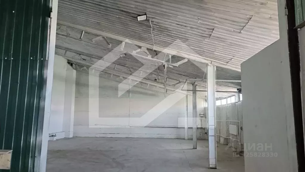 Производственное помещение в Московская область, Лосино-Петровский ... - Фото 1