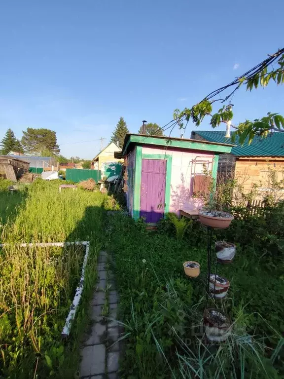 Дом в Новосибирская область, Новосибирск Звездочка садовое ... - Фото 1