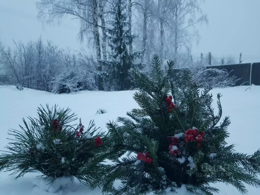 Участок в Липецкая область, Липецк Металлург-3 СНТ, 20-я линия, 1 (4.4 ... - Фото 2